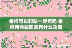 金桔可以和梨一起煮吗 金桔和雪梨同煮有什么功效