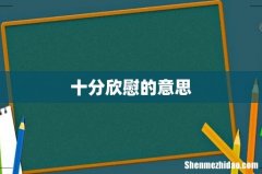 十分欣慰的意思