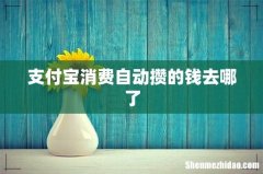 支付宝消费自动攒的钱去哪了