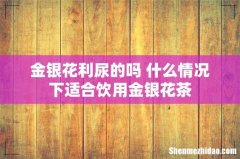 金银花利尿的吗 什么情况下适合饮用金银花茶