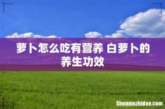 萝卜怎么吃有营养 白萝卜的养生功效