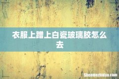 衣服上蹭上白瓷玻璃胶怎么去
