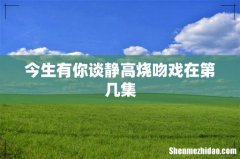 今生有你谈静高烧吻戏在第几集