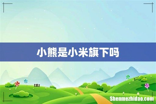 小熊是小米旗下吗