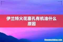 伊兰特火花塞孔有机油什么原因