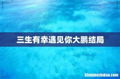 三生有幸遇见你大鹏结局