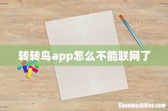 转转鸟app怎么不能联网了