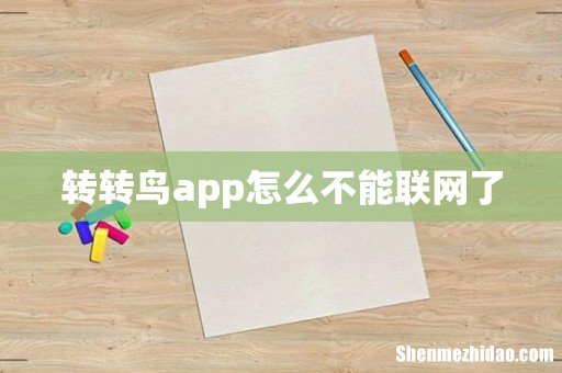 转转鸟app怎么不能联网了