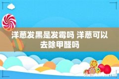 洋葱发黑是发霉吗 洋葱可以去除甲醛吗