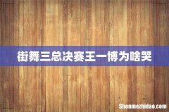 街舞三总决赛王一博为啥哭