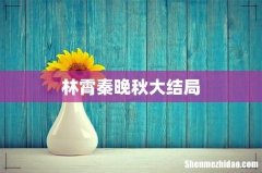 林霄秦晚秋大结局