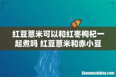 红豆薏米可以和红枣枸杞一起煮吗 红豆薏米和赤小豆薏米哪个祛湿效果好