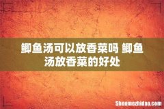鲫鱼汤可以放香菜吗 鲫鱼汤放香菜的好处