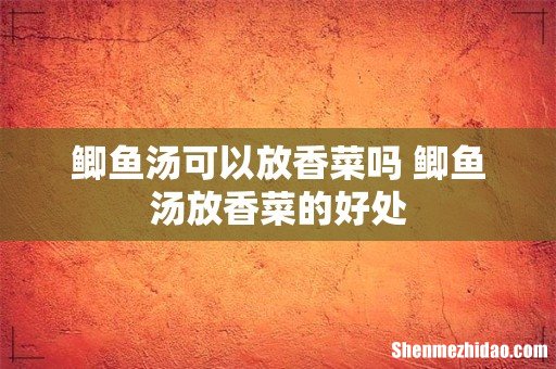 鲫鱼汤可以放香菜吗 鲫鱼汤放香菜的好处