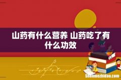 山药有什么营养 山药吃了有什么功效