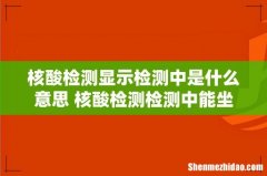 核酸检测显示检测中是什么意思 核酸检测检测中能坐飞机吗