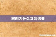 赛迦为什么又叫诺亚