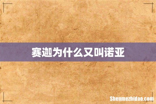 赛迦为什么又叫诺亚