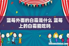 蓝莓外面的白霜是什么 蓝莓上的白霜能吃吗