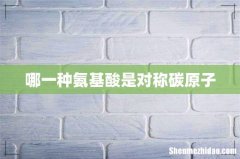 哪一种氨基酸是对称碳原子