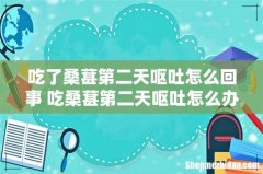 吃了桑葚第二天呕吐怎么回事 吃桑葚第二天呕吐怎么办