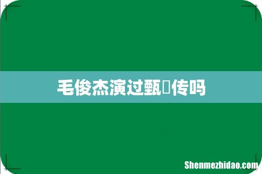 毛俊杰演过甄嬛传吗