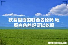 秋葵里面的籽要去掉吗 秋葵白色的籽可以吃吗