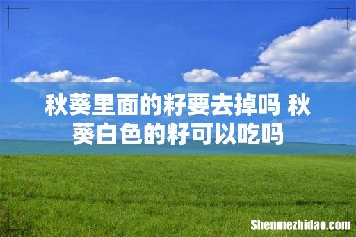 秋葵里面的籽要去掉吗 秋葵白色的籽可以吃吗