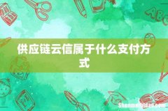 供应链云信属于什么支付方式
