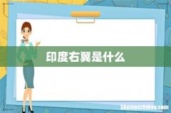 印度右翼是什么