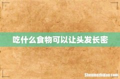 吃什么食物可以让头发长密