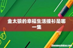 金太狼的幸福生活撞衫是哪一集