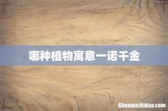哪种植物寓意一诺千金