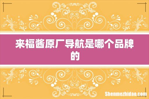 来福酱原厂导航是哪个品牌的