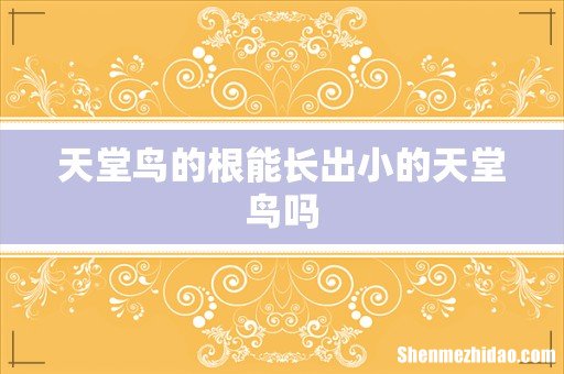 天堂鸟的根能长出小的天堂鸟吗