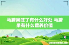 马蹄果吃了有什么好处 马蹄果有什么营养价值