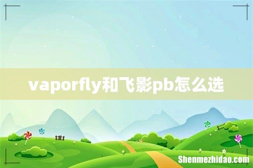 vaporfly和飞影pb怎么选