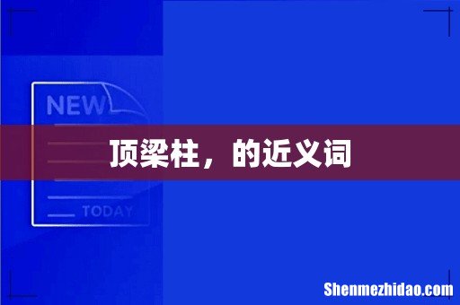 顶梁柱,的近义词