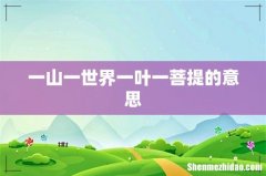 一山一世界一叶一菩提的意思