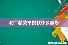 和平精英不授权什么意思