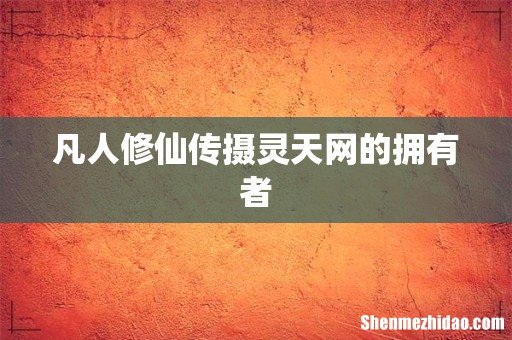 凡人修仙传摄灵天网的拥有者