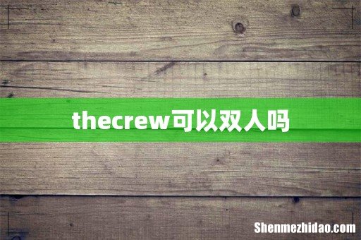 thecrew可以双人吗