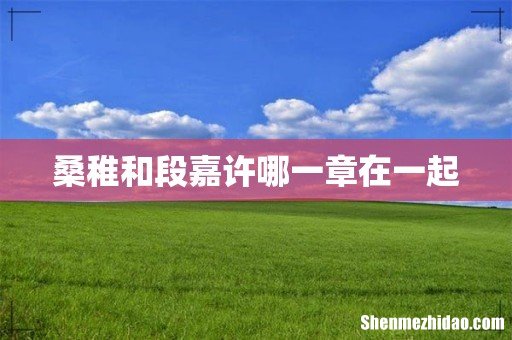 桑稚和段嘉许哪一章在一起