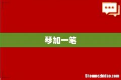 琴加一笔