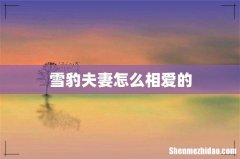 雪豹夫妻怎么相爱的