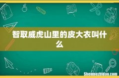 智取威虎山里的皮大衣叫什么