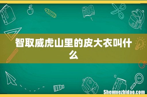 智取威虎山里的皮大衣叫什么