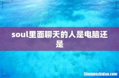 soul里面聊天的人是电脑还是