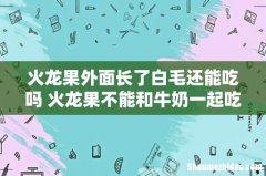火龙果外面长了白毛还能吃吗 火龙果不能和牛奶一起吃吗