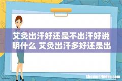 艾灸出汗好还是不出汗好说明什么 艾灸出汗多好还是出汗少好